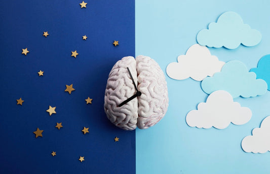 Circadian Medicine: The Overlooked Pillar of Hormonal Balance