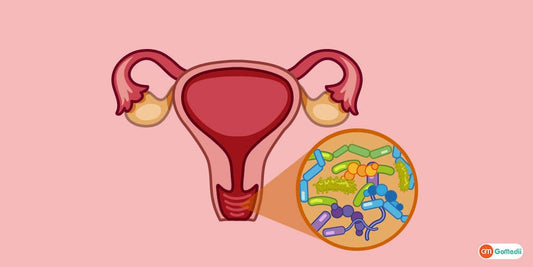 The Microbiome-Nerve Axis: How Vaginal Infections Can Rewire Pain Pathways