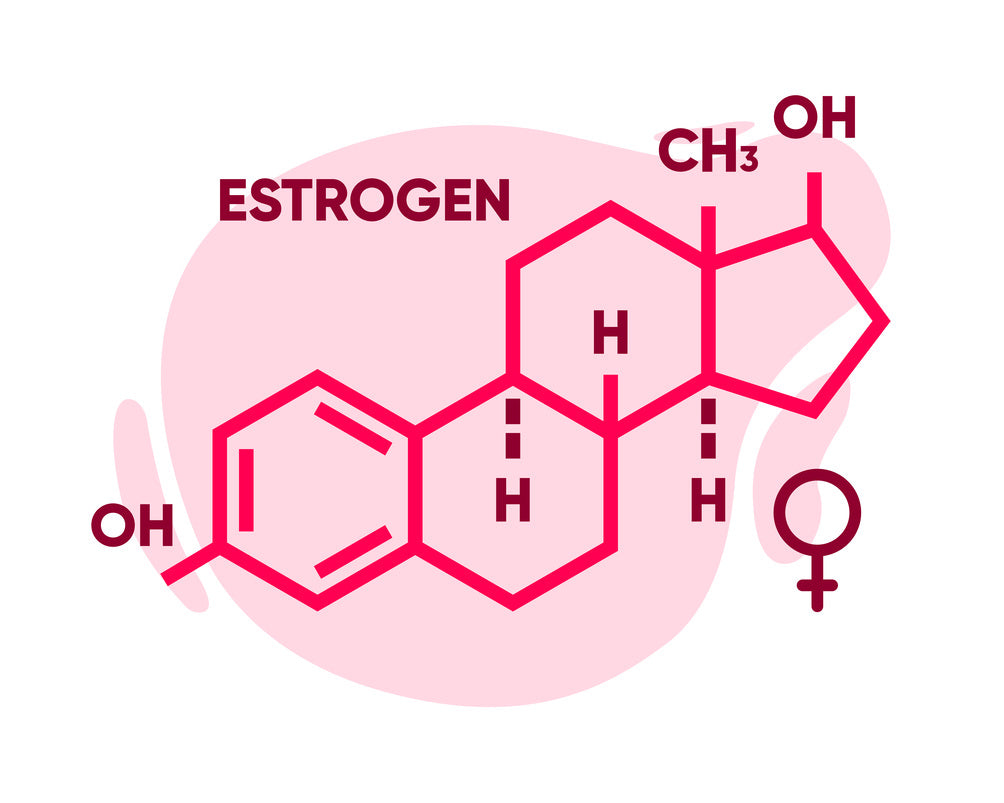 The Vaginal-Heart Connection: How Estrogen, Inflammation & Microbiome Health Impact Cardiovascular Risk