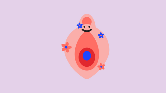Why Some Vaginas Love Estrogen and Others Flare: Exploring Vaginal Estrogen Receptor Diversity