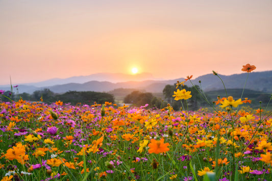 Spring Reset for Your Vaginal Microbiome: 5 Ways to Rebalance After Winter