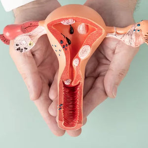 Immune-Syncing Your Cycle: How to Avoid Infections Around Your Period During Cold & Flu Season