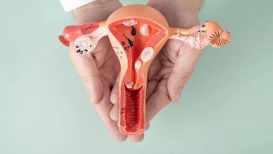 Immune-Syncing Your Cycle: How to Avoid Infections Around Your Period During Cold & Flu Season