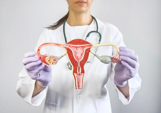 PCOS Isn’t About the Cysts: It’s a Hormonal Ecosystem Disruption