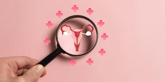 Can Your Partner Affect Your Vaginal Microbiome? What the Science Actually Says