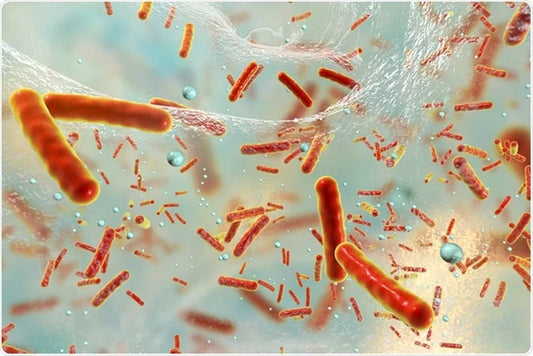 Recurrent BV Isn’t Random — Let’s Talk Biofilms