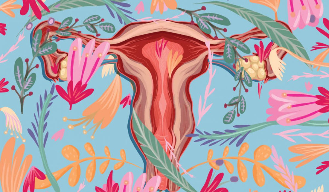 The Vaginal Microbiome: An Immune-Intelligent Ecosystem